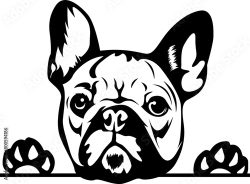 Dog Svg , Dog Cut Files, Dog Mom Svg, Dog Lover Svg,Dog Quote Svg, Dog Saying, Dog Design, Pet Svg, Pet Dog Svg, Dog Clipart