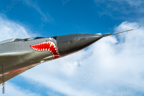 combat aircraft fighter bomber on a blue sky background