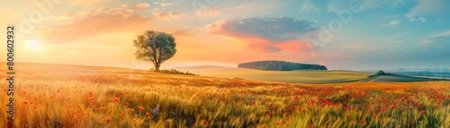 Panorama landscape of blooming fields under the summer sun, photography Colorful sun light high detail landscape background