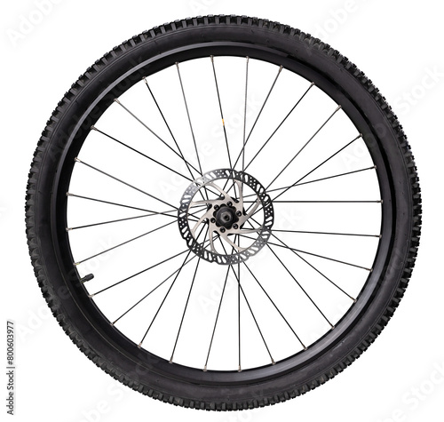 Bicycle wheel with off-road tire and brake disc on isolated background.