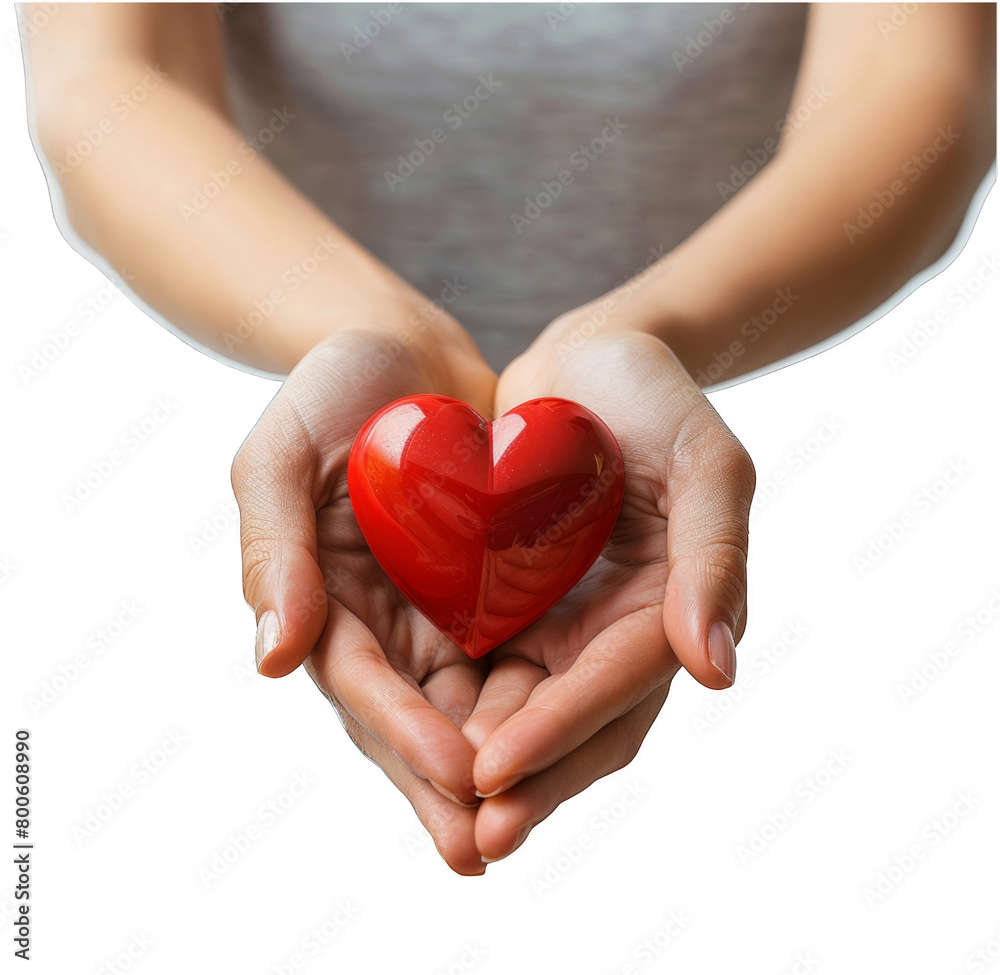 Obraz premium heart in hands