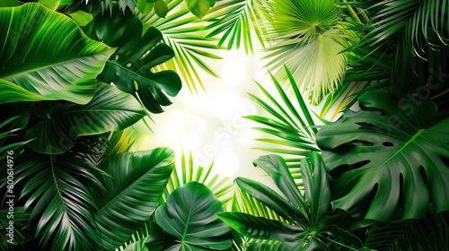 
Visualize a background featuring real tropical leaves against a clean white backdrop, providing ample copy space for text or other design elements. photo
