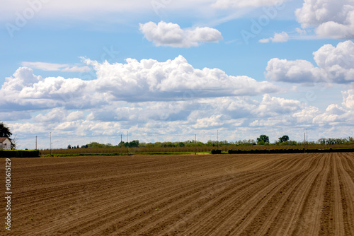 Campo agricolo preparato per la semina di stagione photo