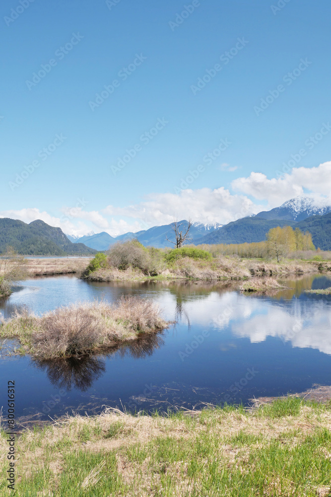 Pitt River Dike Scenic Point during a spring season in Pitt Meadows, British Columbia, Canada Pitt River Dike Scenic Point during a spring season in Pitt Meadows, British Columbia, Canada