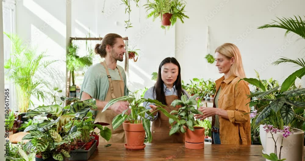 Diverse Team of Gardeners Discussing Indoor Plants. Three freelance gardeners, including an Asian woman, nurture houseplants in a sunlit greenhouse setting, showcasing their love for indoor gardening Diverse Team of Gardeners Discussing Indoor Plants. Three freelance gardeners, including an Asian woman, nurture houseplants in a sunlit greenhouse setting, showcasing their love for indoor gardening