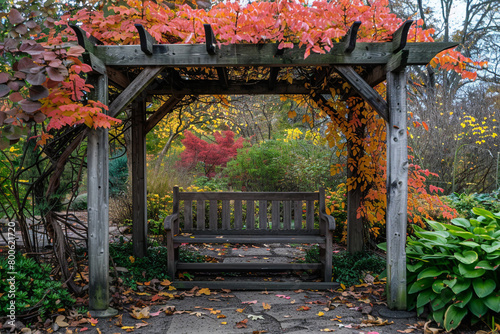 A wooden bench positioned beneath a canopy of colorful autumn leaves.