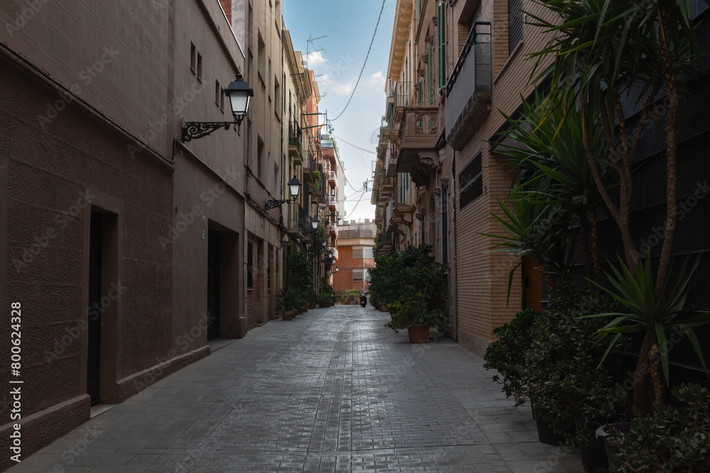 Obraz premium nice street with plants in the city of Barcelona. old housing architecture