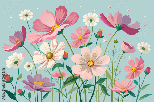 A bunch of cosmos  their dainty blooms swaying gently in the breeze