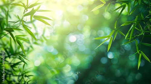 Serene Natural Scene with Sunlight Filtering through Green Leaves. Ideal for Backgrounds and Wallpapers. Captured with a Soft Focus. Environmentally Themed. AI