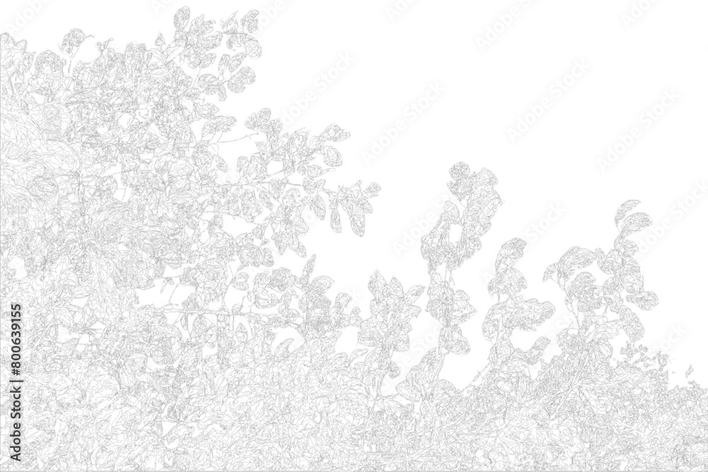 2024 04 30 texture 2—1