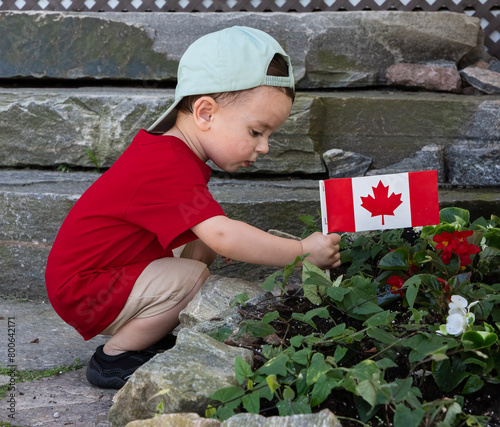 Mexican-Canadian child planting a Canadian flag in the flowerbed on Canada Day