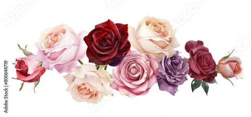 assortment of roses in a watercolor style on a white background 