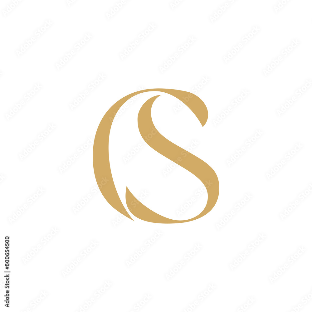 Obraz premium Abstract Letters C and S Logo 102