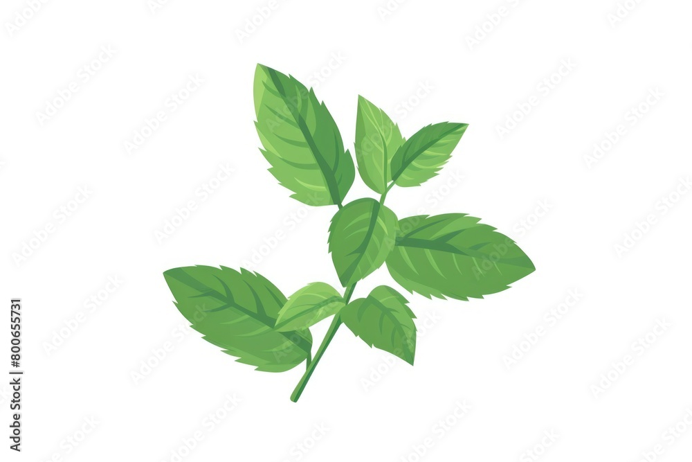 Fresh green leaves on a clean white background. Ideal for botanical projects Fresh green leaves on a clean white background. Ideal for botanical projects