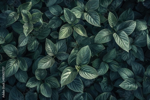 Detailed close-up of vibrant green leaves, perfect for nature backgrounds or botanical designs