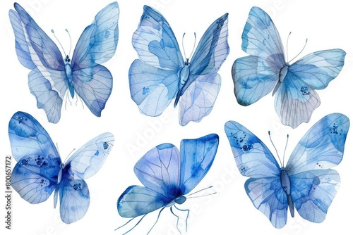 A group of blue butterflies on a plain white background. Suitable for various design projects © Ева Поликарпова