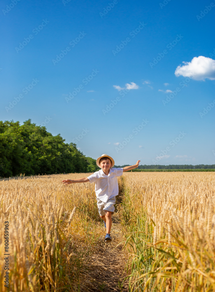 Happy boy with arms outstretched in wheat field on sunny day. Childhood, freedom, summer concept Happy boy with arms outstretched in wheat field on sunny day. Childhood, freedom, summer concept