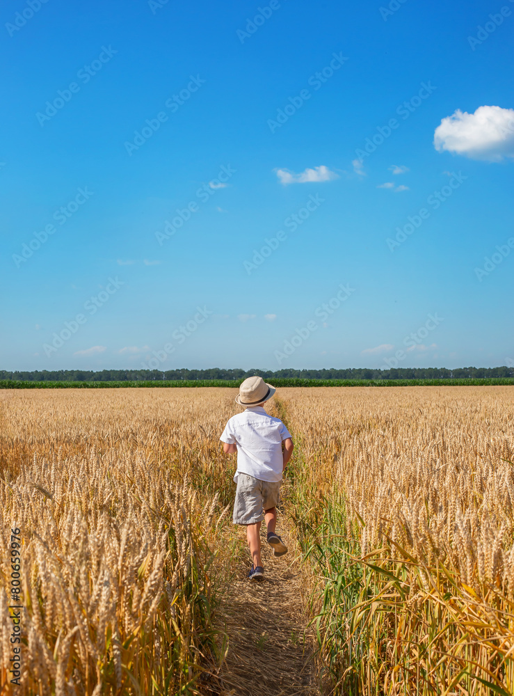 Happy boy with arms outstretched in wheat field on sunny day. Childhood, freedom, summer concept