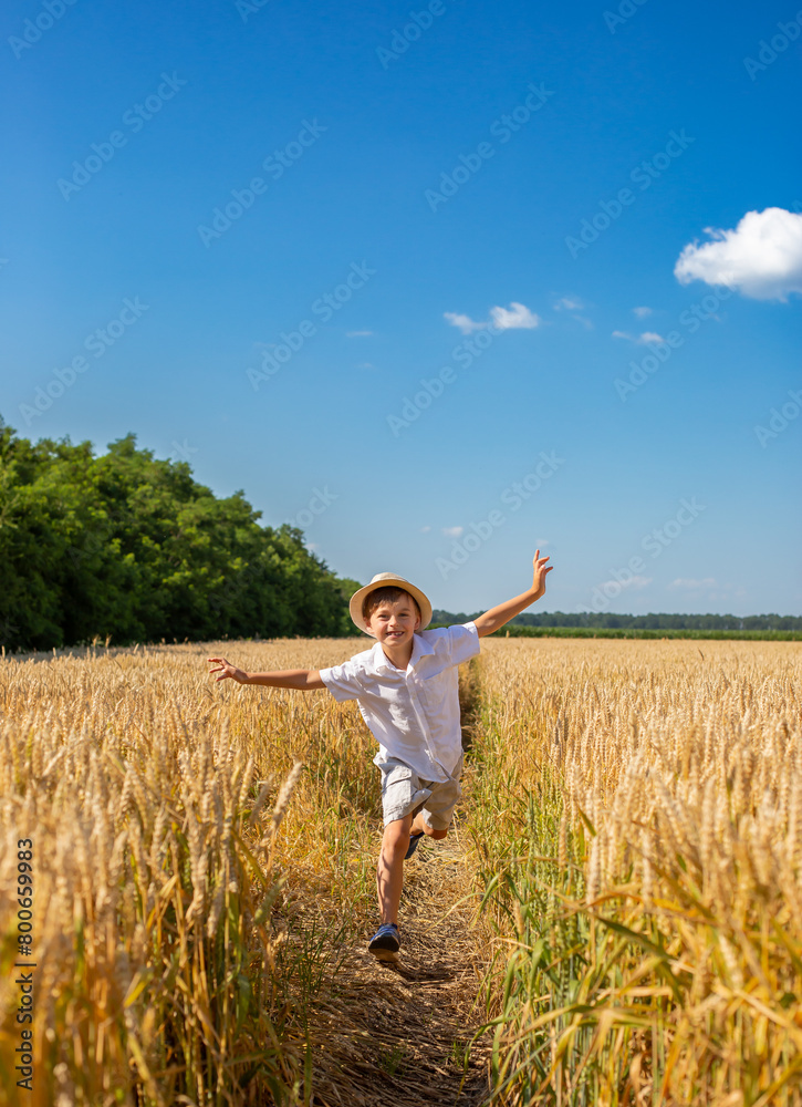 Happy boy with arms outstretched in wheat field on sunny day. Childhood, freedom, summer concept Happy boy with arms outstretched in wheat field on sunny day. Childhood, freedom, summer concept
