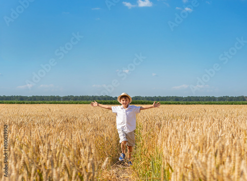 Boy in wheat field on sunny day, arms wide open above wheat field. Fresh air, concept of freedom