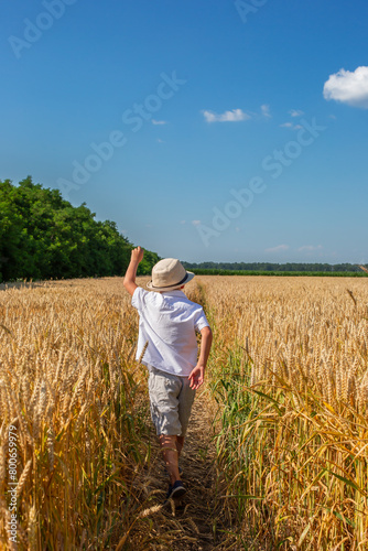 Happy boy with arms outstretched in wheat field on sunny day. Childhood, freedom, summer concept