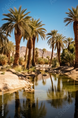 Serene oasis in the desert
