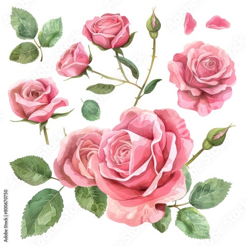 pink roses clipart elements like minimal watercolor