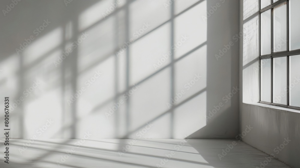 Shadow overlay effect background, light and shadow outside the window. Shadow overlay effect and model of natural lightning inside the room Shadow overlay effect background, light and shadow outside the window. Shadow overlay effect and model of natural lightning inside the room