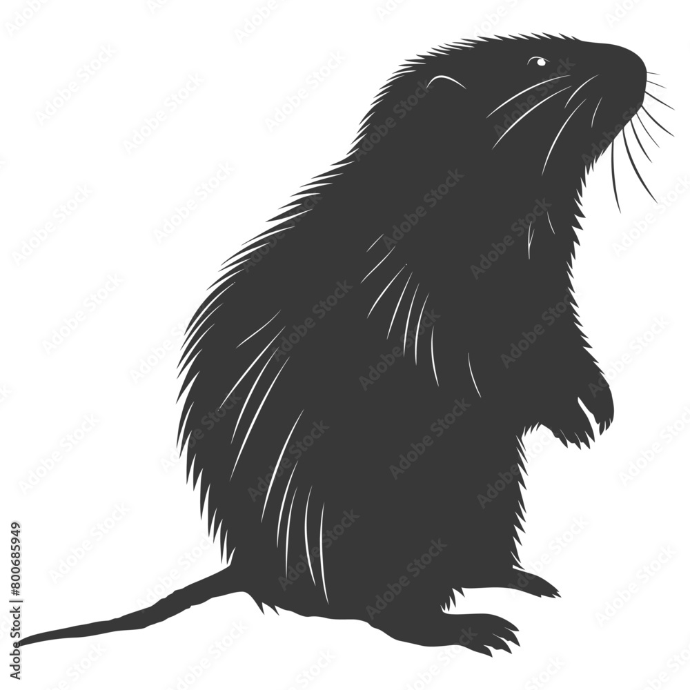 Silhouette mole animal black color only full body Silhouette mole animal black color only full body