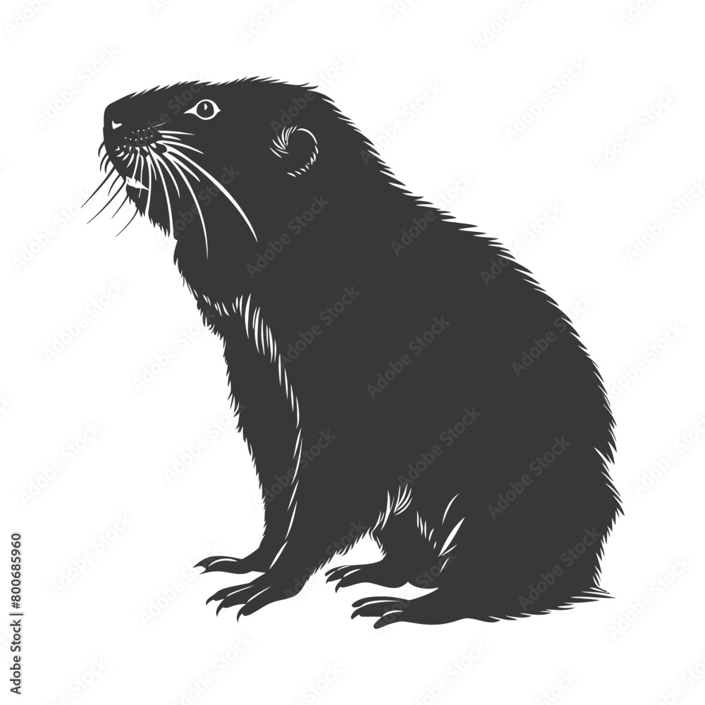 Fototapeta premium Silhouette mole animal black color only full body 