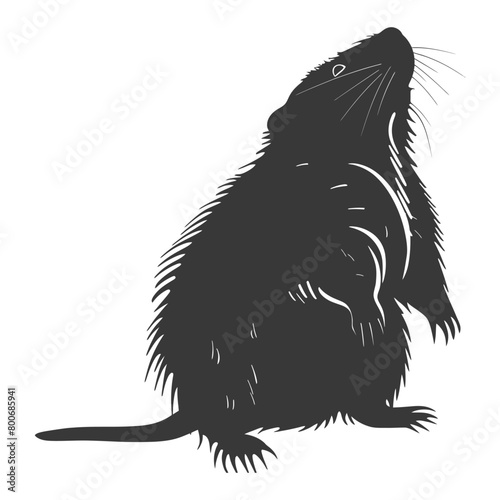 Silhouette mole animal black color only full body 