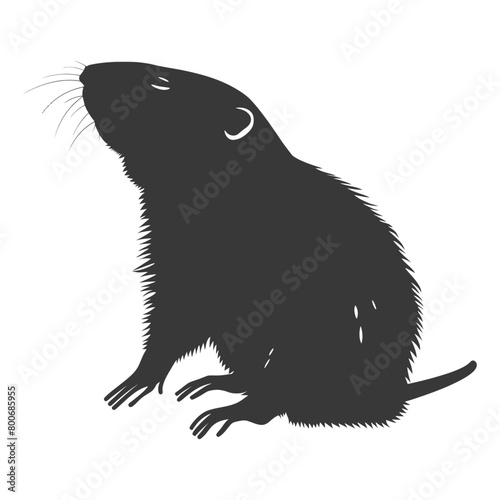 Silhouette mole animal black color only full body 