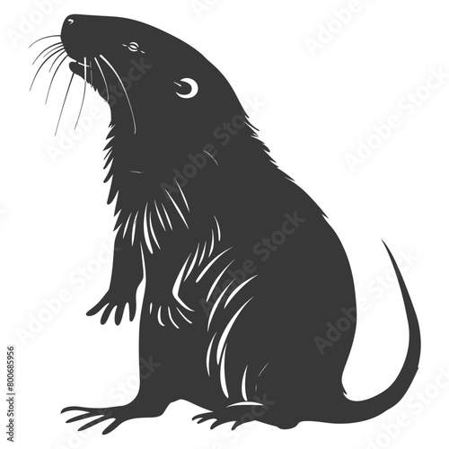 Silhouette mole animal black color only full body 