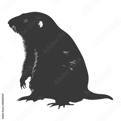 Silhouette mole animal black color only full body 
