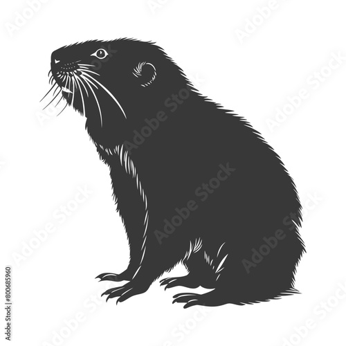 Silhouette mole animal black color only full body 