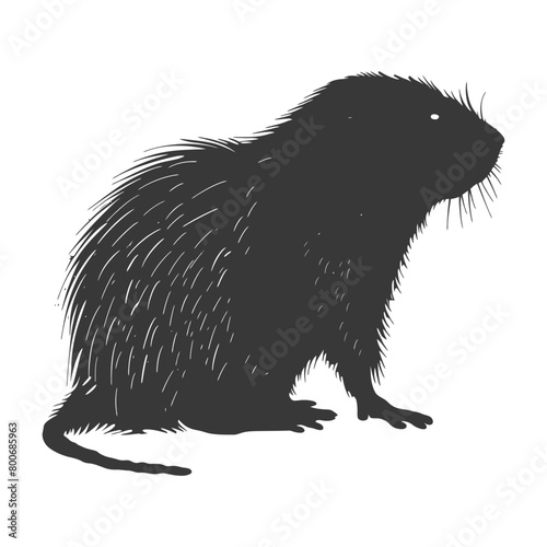 Silhouette mole animal black color only full body 
