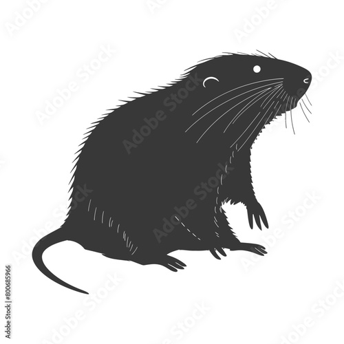 Silhouette mole animal black color only full body 