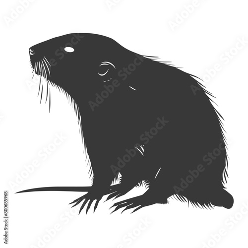 Silhouette mole animal black color only full body 