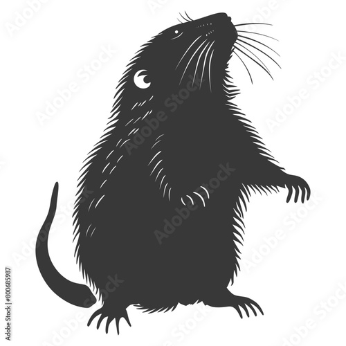Silhouette mole animal black color only full body 