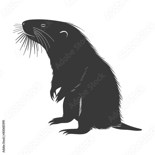 Silhouette mole animal black color only full body 