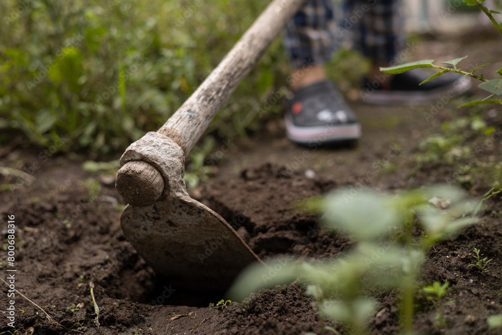 Fototapeta premium working with a hoe, field work tools, agriculture and environmental conservation, land details
