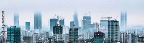 panorama of the city   skyscrapers  in the city and cranes  white sky