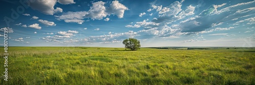 prairies, stretches of flat grassland with moderate temperatures, moderate rainfall, and few trees