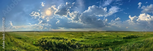 prairies, stretches of flat grassland with moderate temperatures, moderate rainfall, and few trees photo