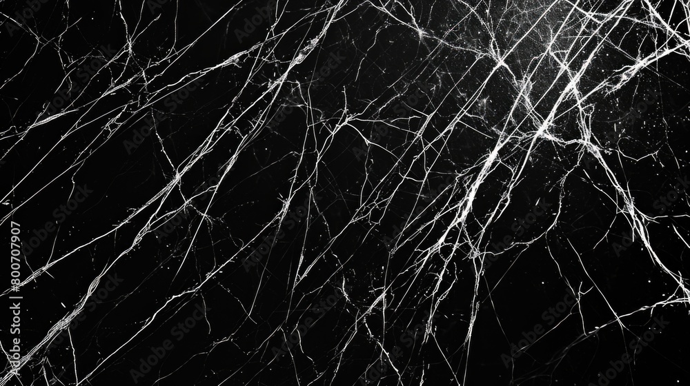 Abstract black marble texture with white veins.