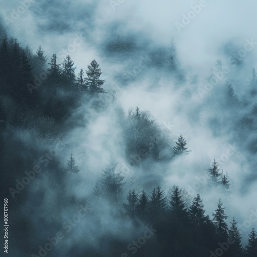Trees enveloped in mist under cloudy skies. Enigmatic and tranquil natural vista