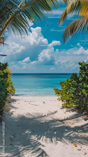 sea summer beach background