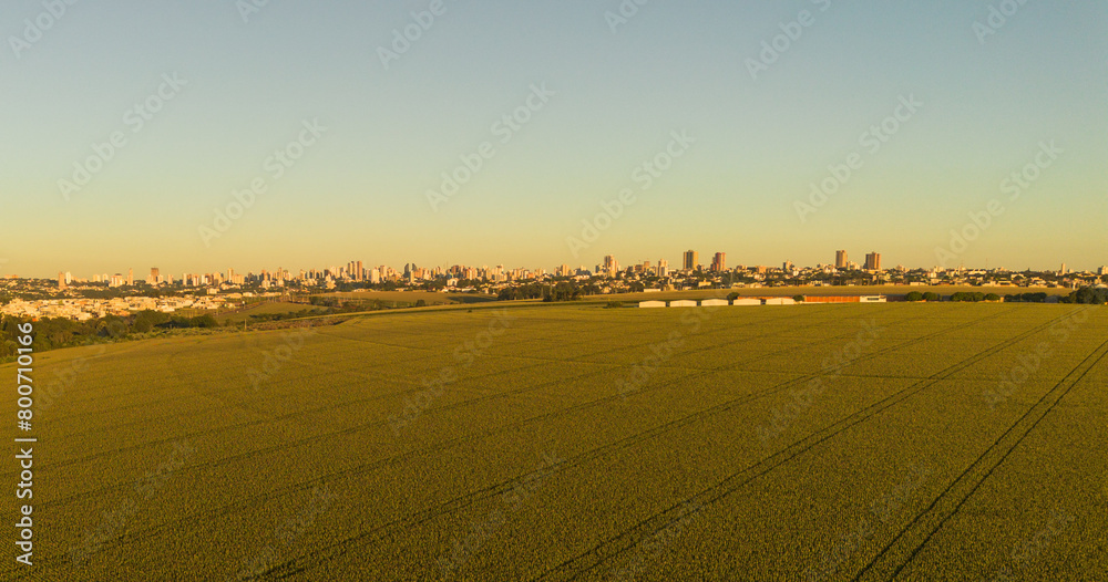 Fototapeta premium Cascavel_PR