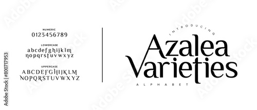 Azalea Elegant Font Uppercase Lowercase and Number. Classic Lettering Minimal Fashion Designs. Typography modern serif fonts regular decorative vintage concept. vector illustration
