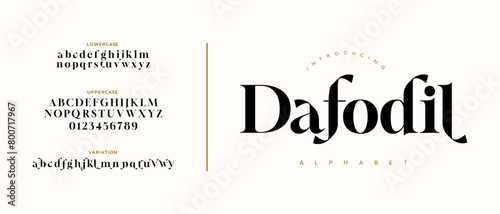 Dafodil Elegant Font Uppercase Lowercase and Number. Classic Lettering Minimal Fashion Designs. Typography modern serif fonts regular decorative vintage concept. vector illustration